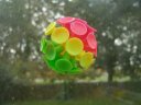 Photo of Ball stuck to window